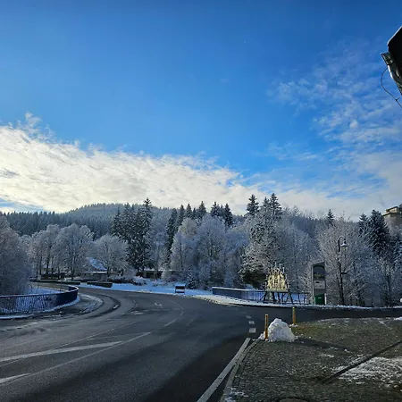 Gruenhaeuschen Im Erzgebirge, 620 M Uedm بيت للعطل Steinheidel