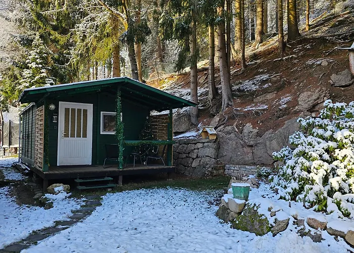 Gruenhaeuschen Im Erzgebirge, 620 M Uedm بيت للعطل Steinheidel