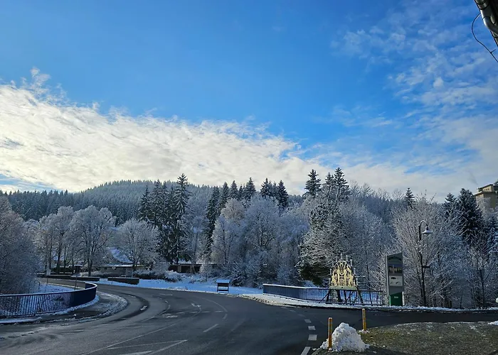 Gruenhaeuschen Im Erzgebirge, 620 M Uedm بيت للعطل Steinheidel